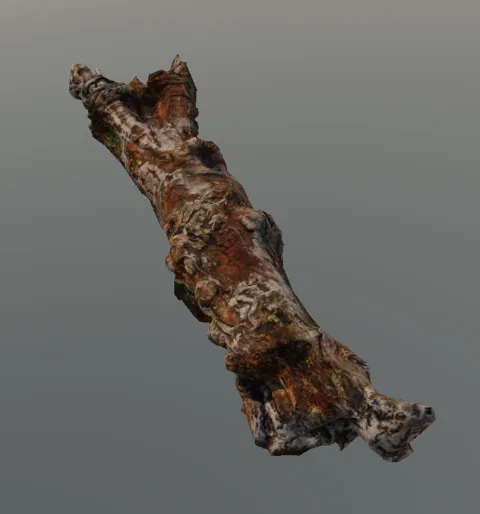 p_cs_treefallen01x