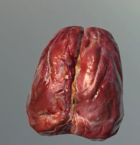 p_cs_trkybreastmeat01x