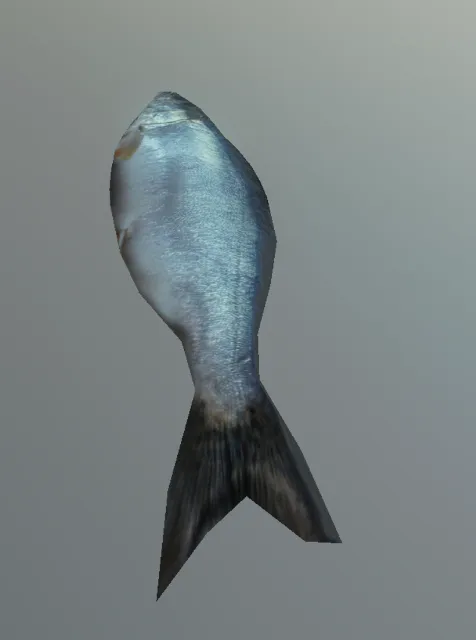 p_cs_trout02x