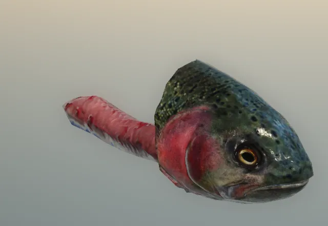 p_cs_trout03bx