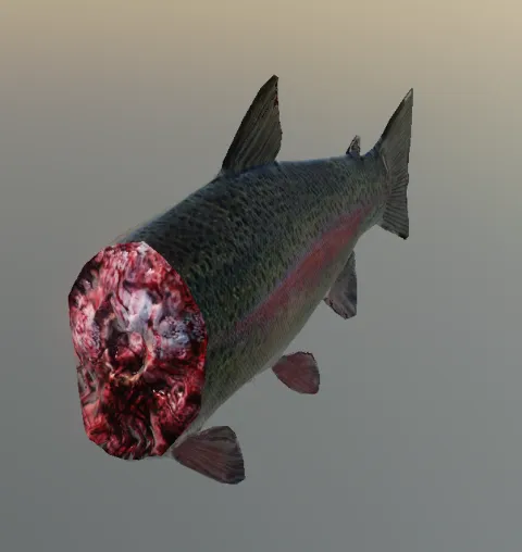 p_cs_trout03x