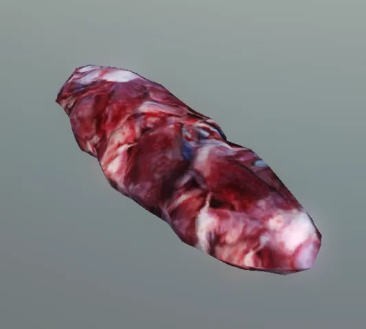 p_cs_turtlemeat01x