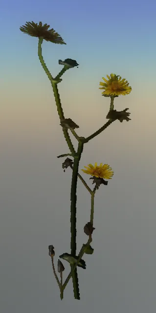 p_dandyclump_01x