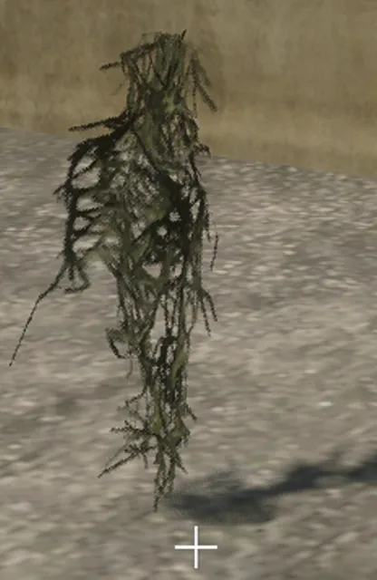 p_debris_nbd_docks_weed1
