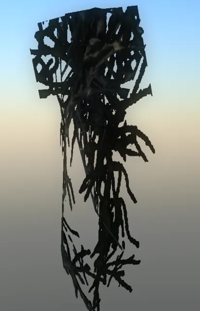 p_debris_nbd_docks_weed1.ydr