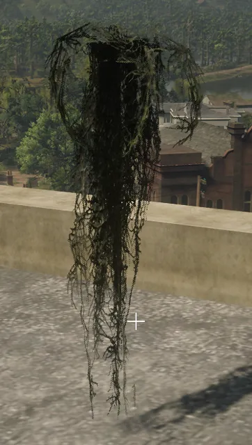 p_debris_nbd_docks_weed2w