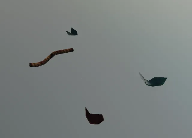 p_debrispile06x