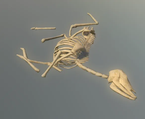 p_deerdeadbones01x