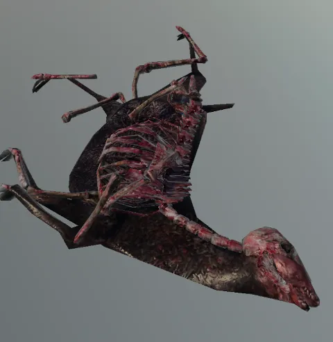 p_deerdeadcarcass01x