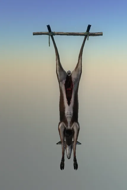 p_deerhanging01x