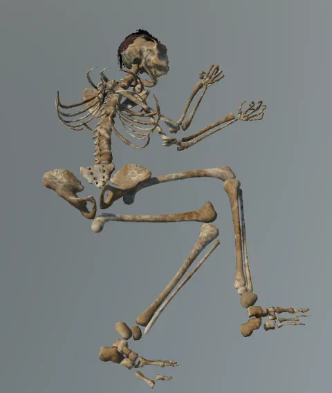 p_dis_bgv_giant_remains
