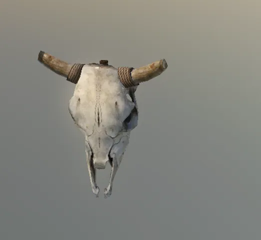 p_disskull01x