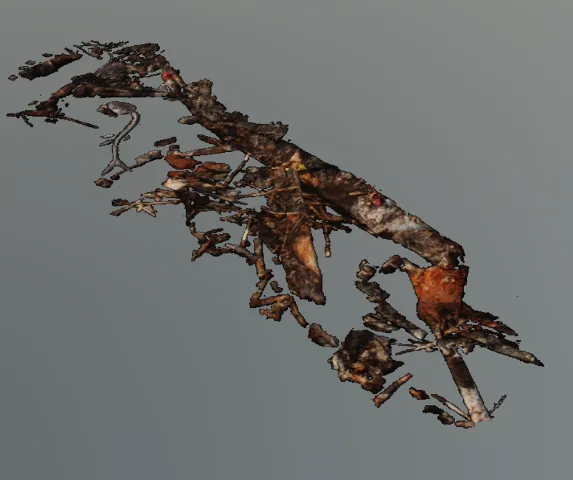 p_dockdebris02x