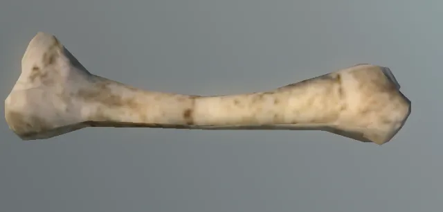 p_dogbone01x