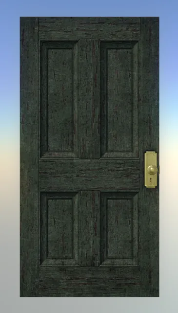 p_door_rho_doctor