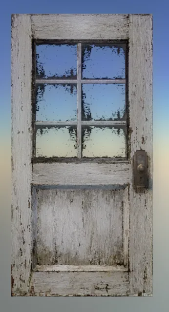 p_door_wglass01x