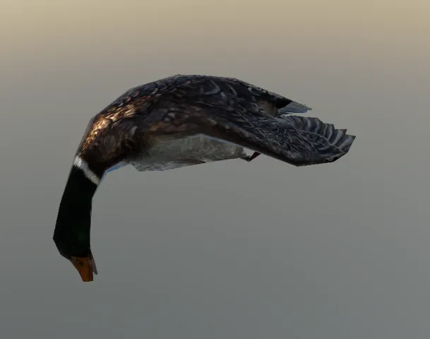 p_duckdead01x