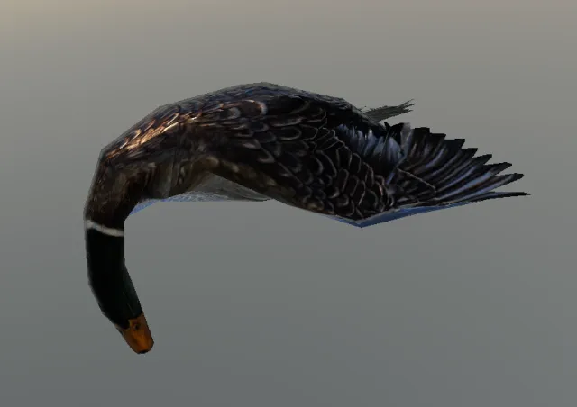 p_duckdead02x