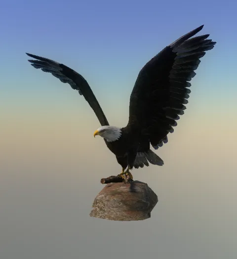 p_eagle01cx