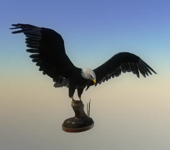 p_eagle01x