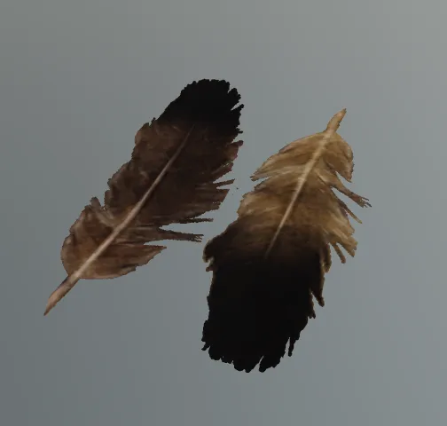 p_eaglefeathers01x