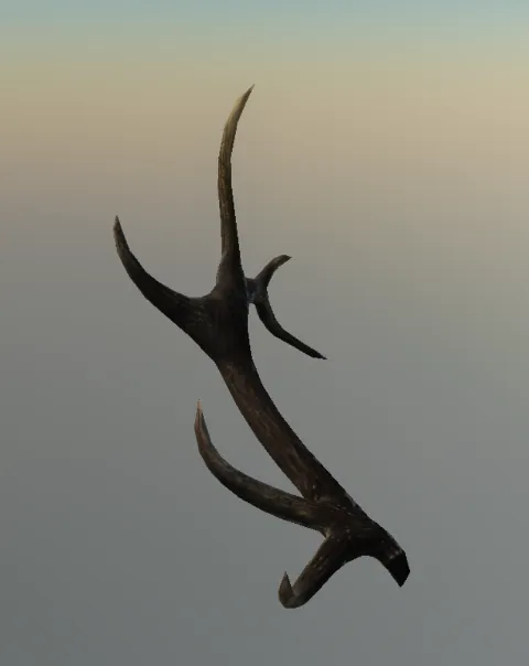 p_elk_horn01x