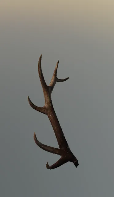 p_elk_horn02x