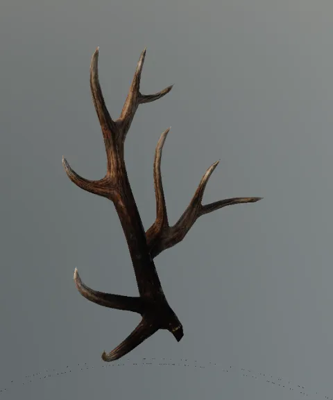p_elk_horn05x