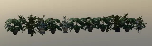 p_exoticprops10x