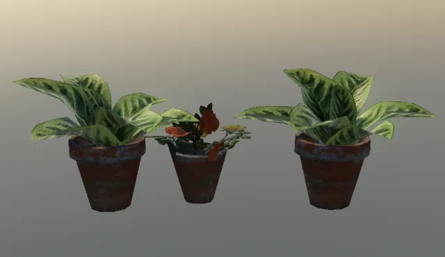 p_exoticprops14x