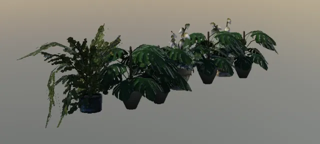 p_exoticprops21x
