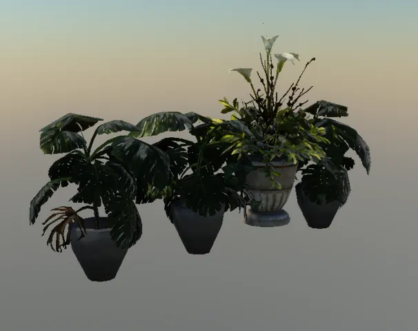 p_exoticprops23x