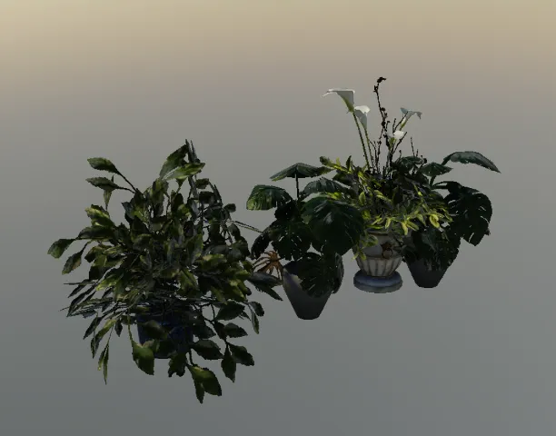 p_exoticprops24x