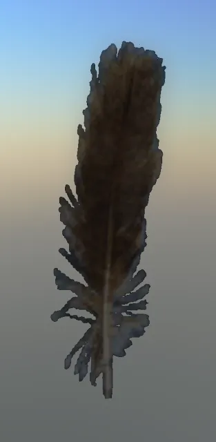 p_feather01x