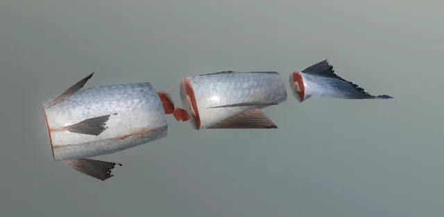 p_fish01x