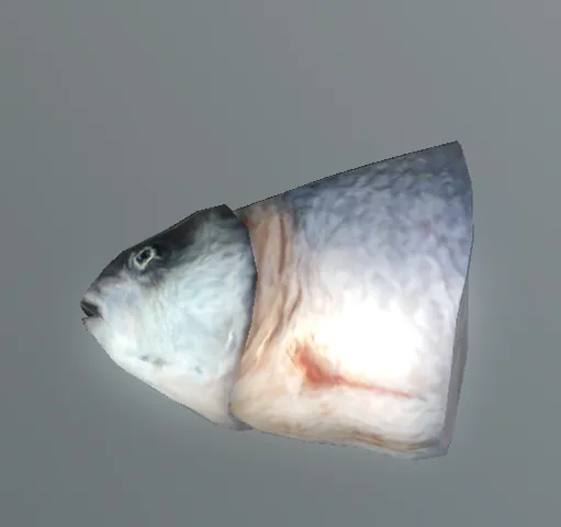 p_fishhalf01x
