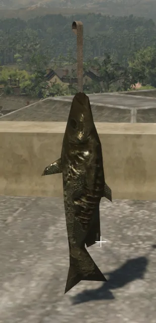 p_fishhangings1x