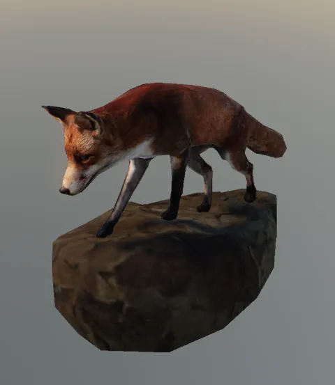 p_fox01x