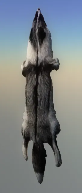 p_foxpelt01x