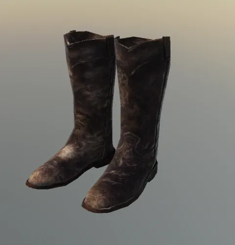 p_gen_boots01