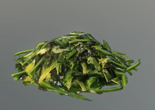 p_green_beans02x