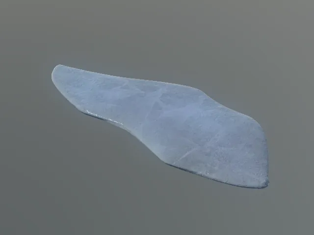 p_grz_icechunk07