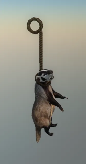 p_hanging_badger01x