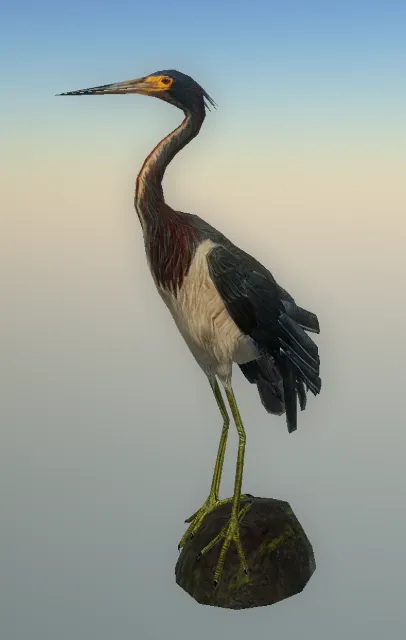 p_heron01bx