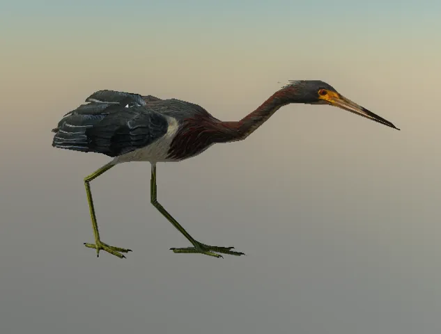 p_heron01x
