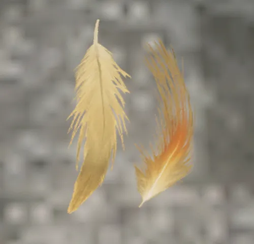 p_heronfeathers01x