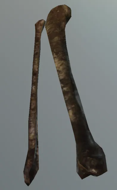 p_humanskeleton02x_calfr