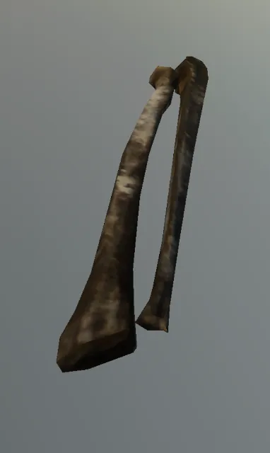 p_humanskeleton02x_forearmr