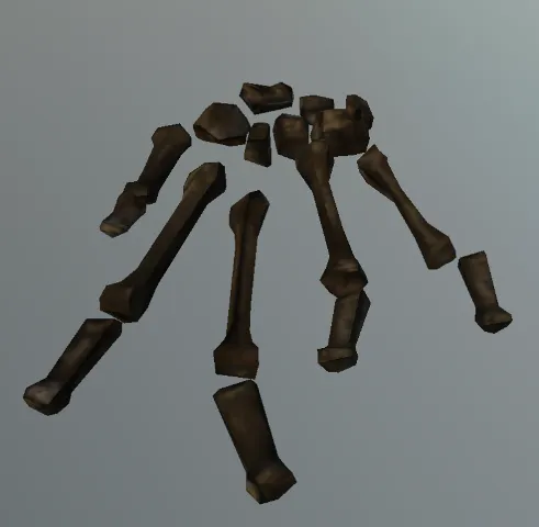 p_humanskeleton02x_handr