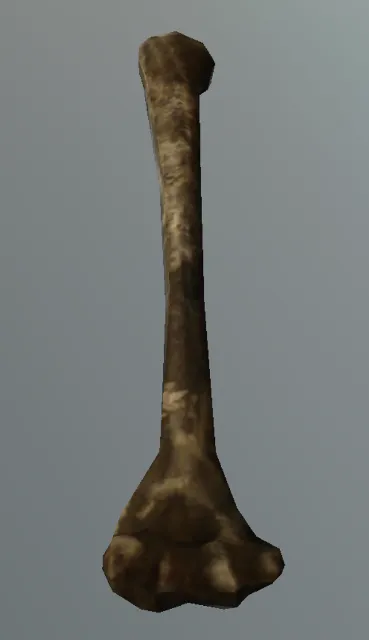 p_humanskeleton02x_upperarmr